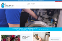 Dolphin Plumbing & Drain
